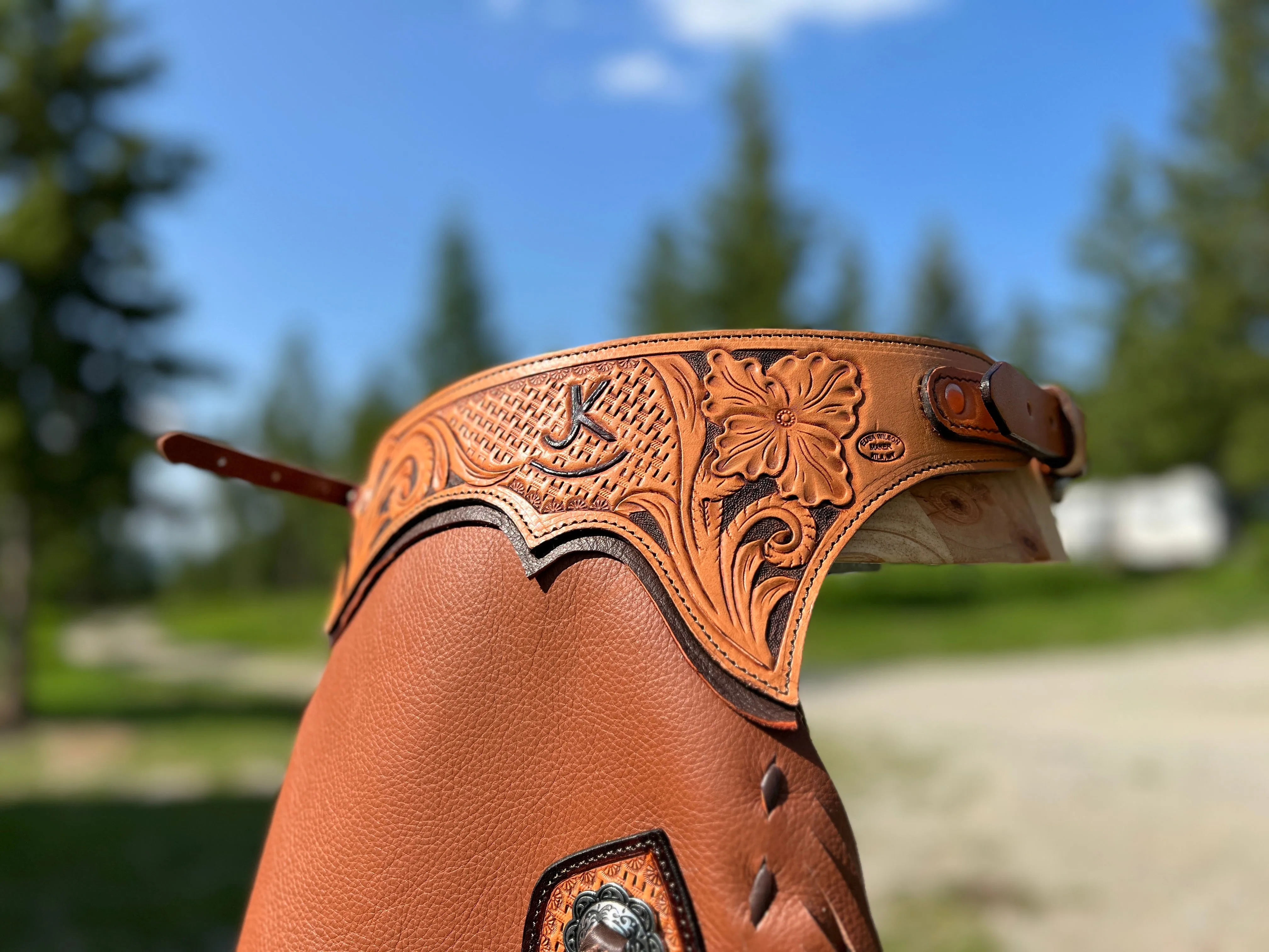 Custom Chinks Charmitas Chaps in Cocoa Leather