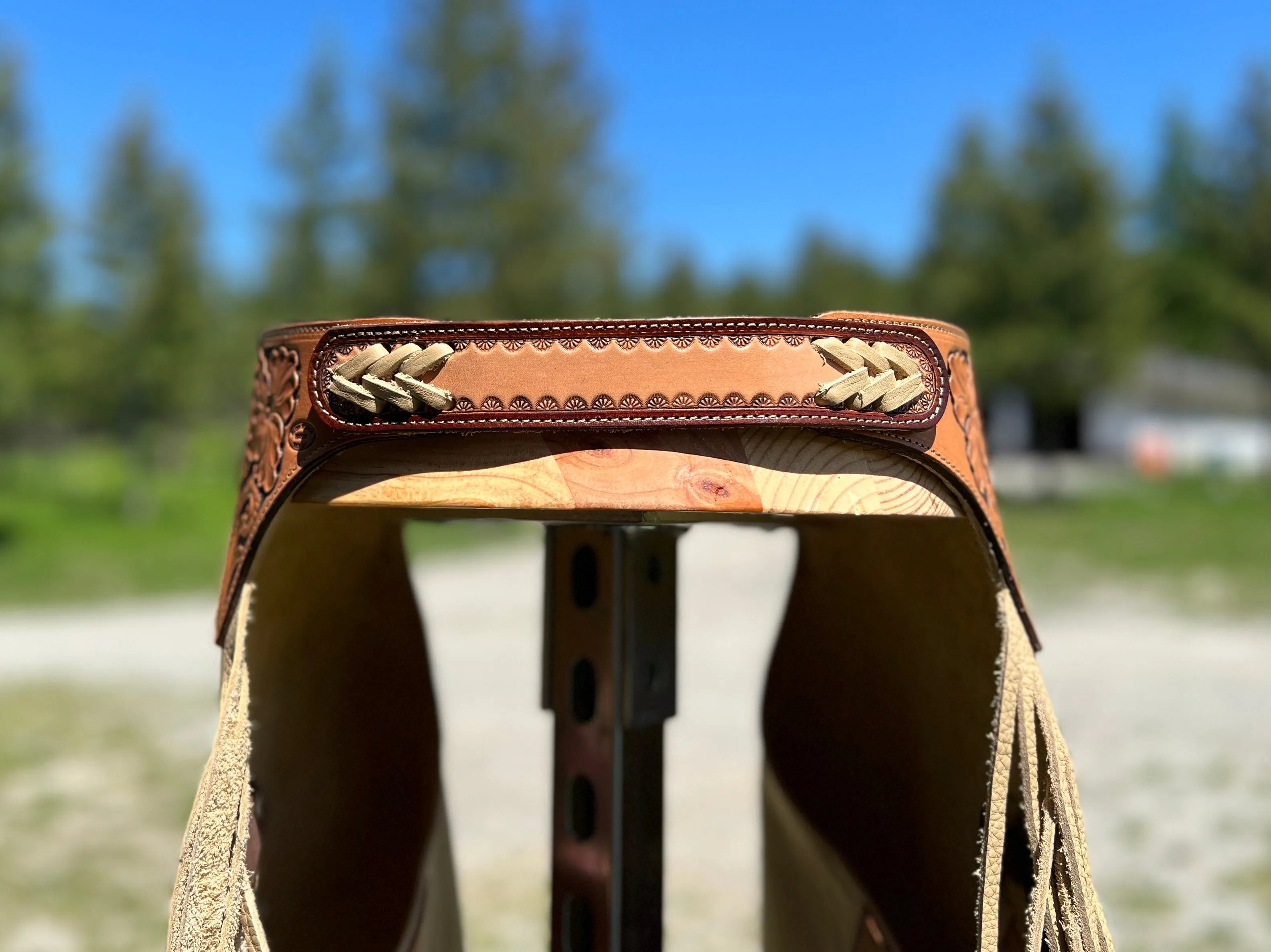 Custom Chinks Charmitas Chaps in Cocoa Leather