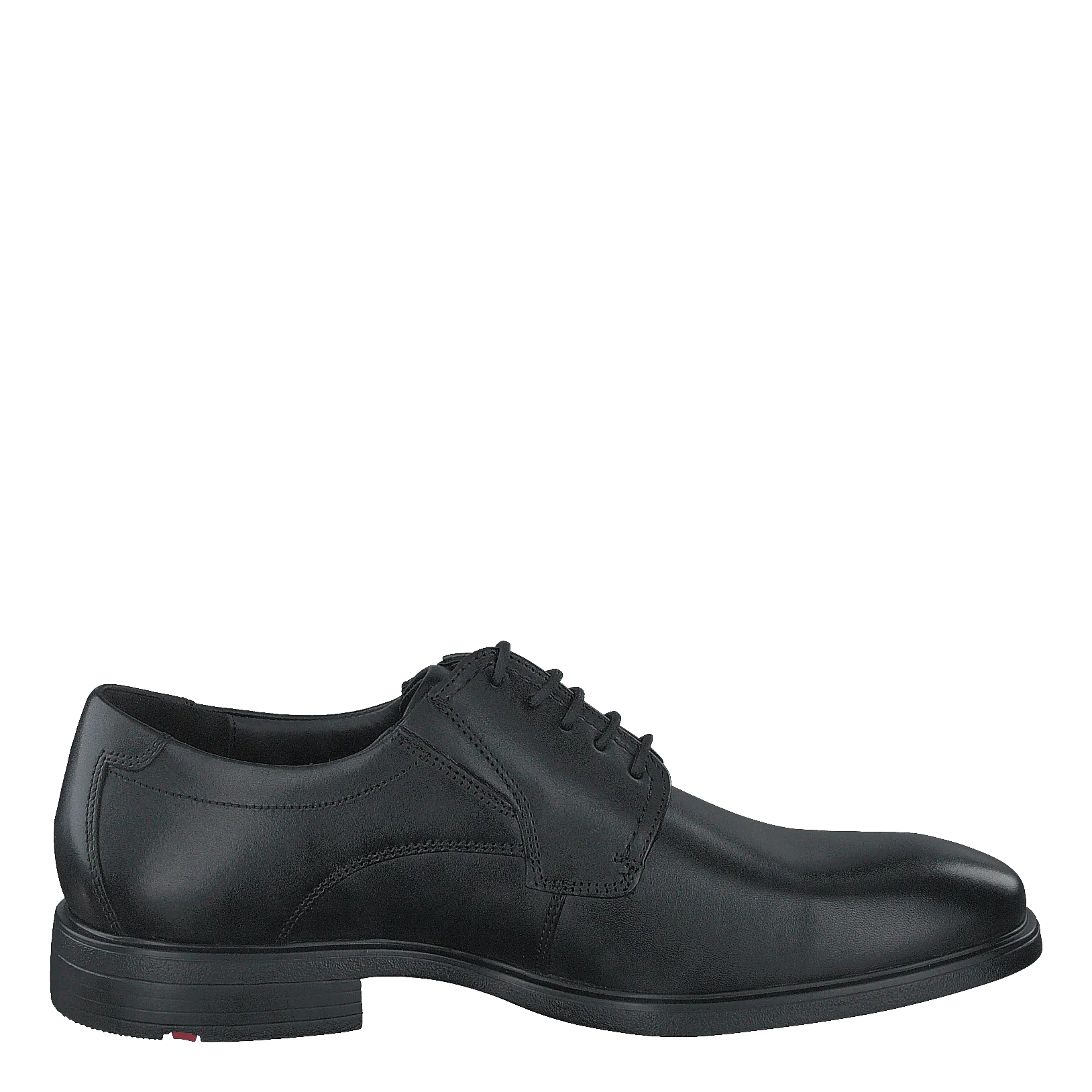 Kentucky Black