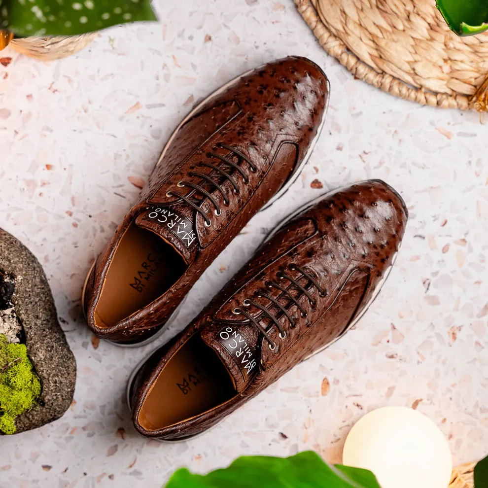 Marco Di Milano Scanno Brown Ostrich Quill Sneakers