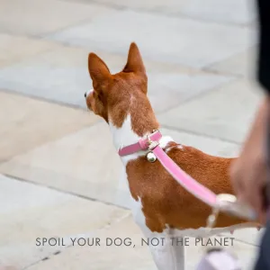 Rio Vegan Leather 4ft Leash | Multiple Colours