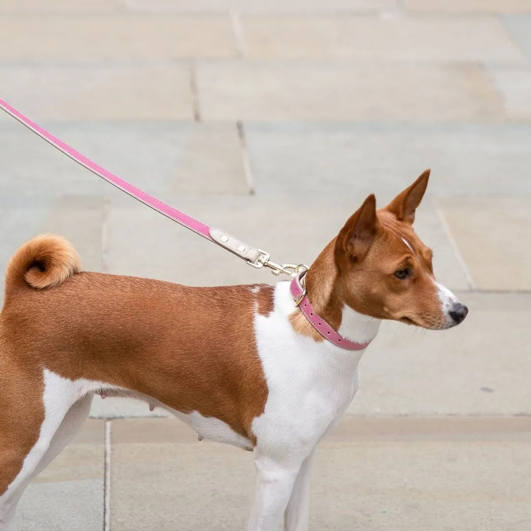 Rio Vegan Leather 4ft Leash | Multiple Colours