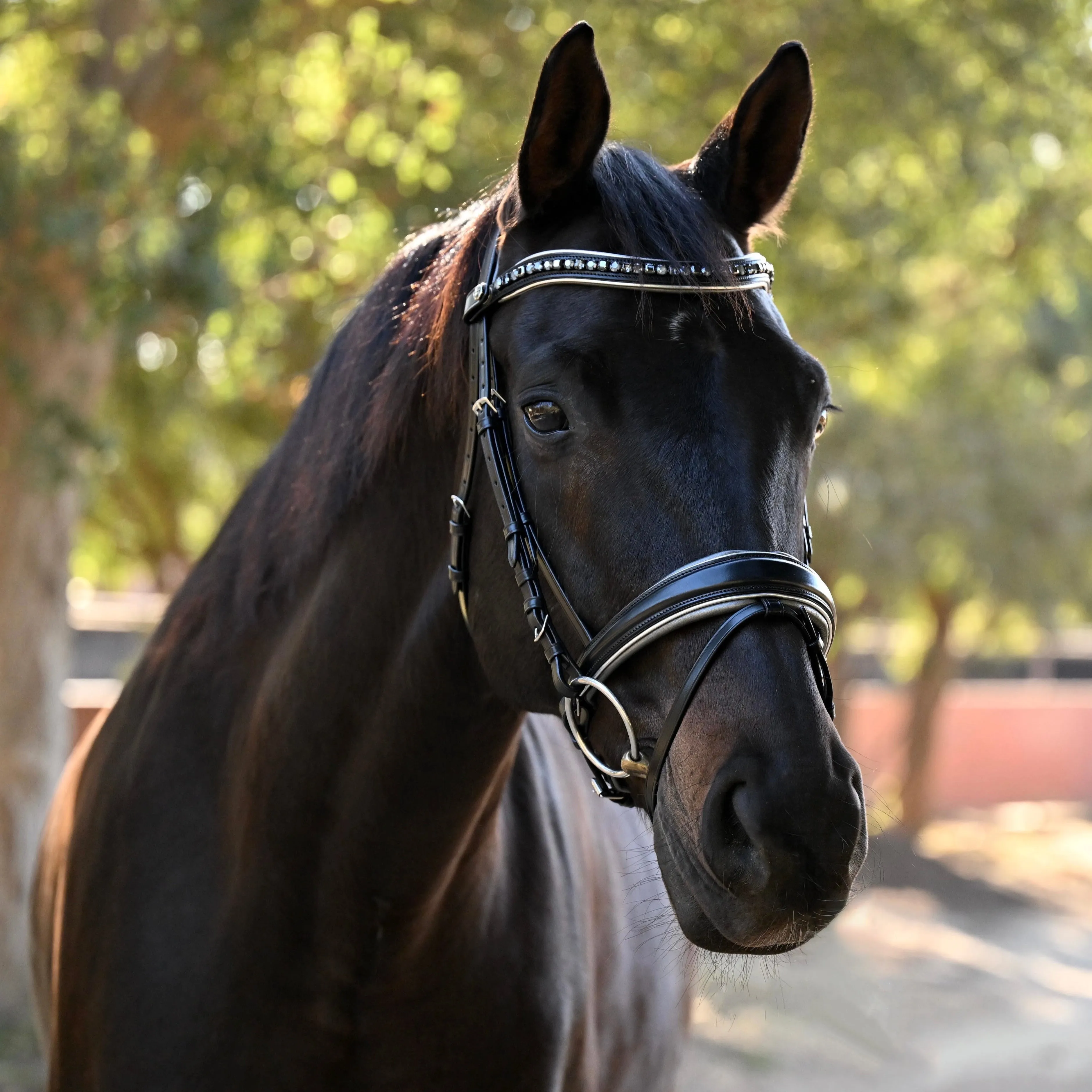 The Eiffel Tower Black Leather Snaffle Bridle