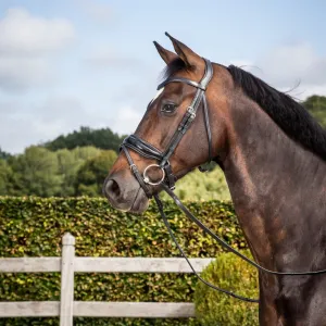 Working Patent Large Crank Noseband Bridle with Flash - Black (Cob)